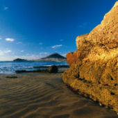 Vivi Tenerife, il periodico (in italiano) dell'isola